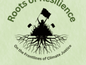 Roots of Resilience Episode 4: Africa Rising