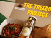 Guardians of Earth’s Tomorrow: The TreeBox Project