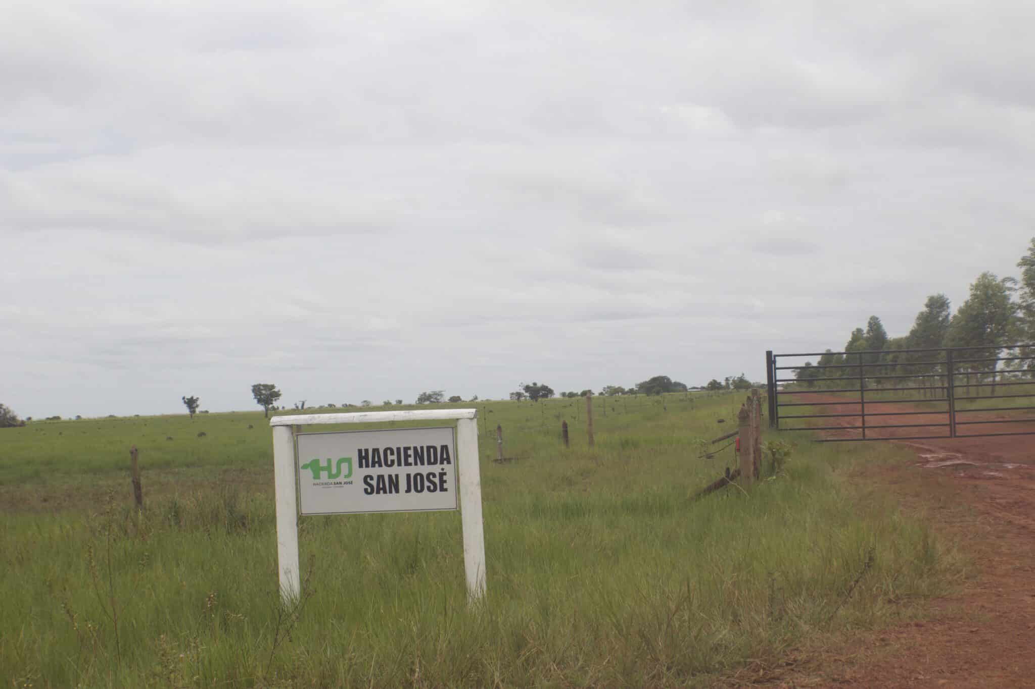 2-curioso-photography-QLOJS4bKNxg-unsplash_