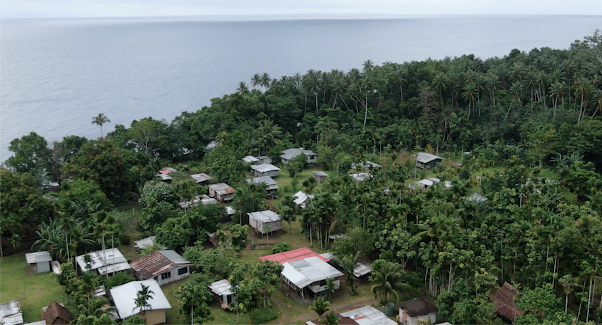 2-curioso-photography-QLOJS4bKNxg-unsplash_