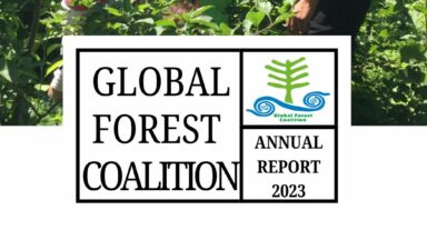 GFC’s Annual Report 2023 is out now