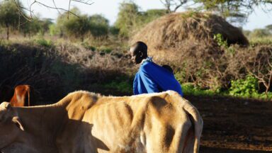 Informe: El impacto del turismo en las comunidades de África Oriental: Integración de los protocolos bioculturales en las políticas de turismo y biodiversidad