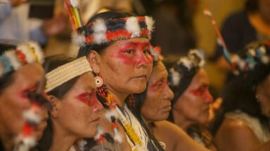 La Cumbre de Biodiversidad escuchará las voces de las Mujeres Indígenas o a las Corporaciones?