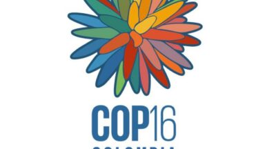 GFC at CBD COP 16