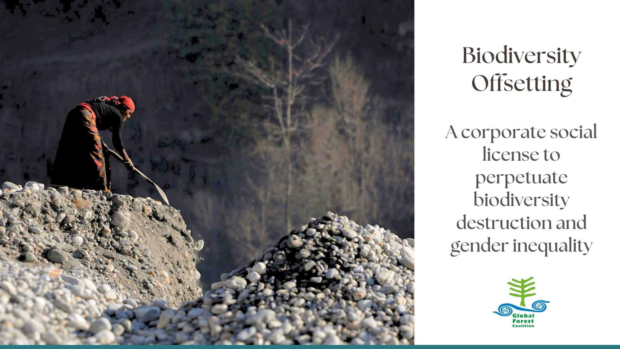 2-curioso-photography-QLOJS4bKNxg-unsplash_