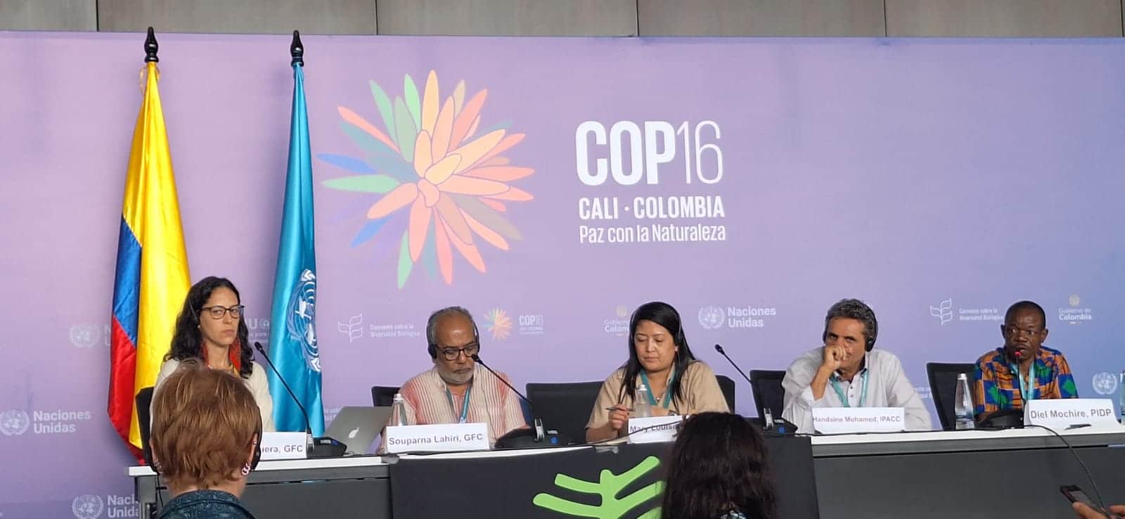 2-curioso-photography-QLOJS4bKNxg-unsplash_