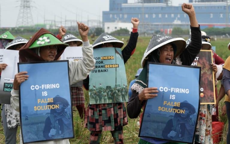 Women protests in Indonesia hold up signs saying "co-firing is false solution".
