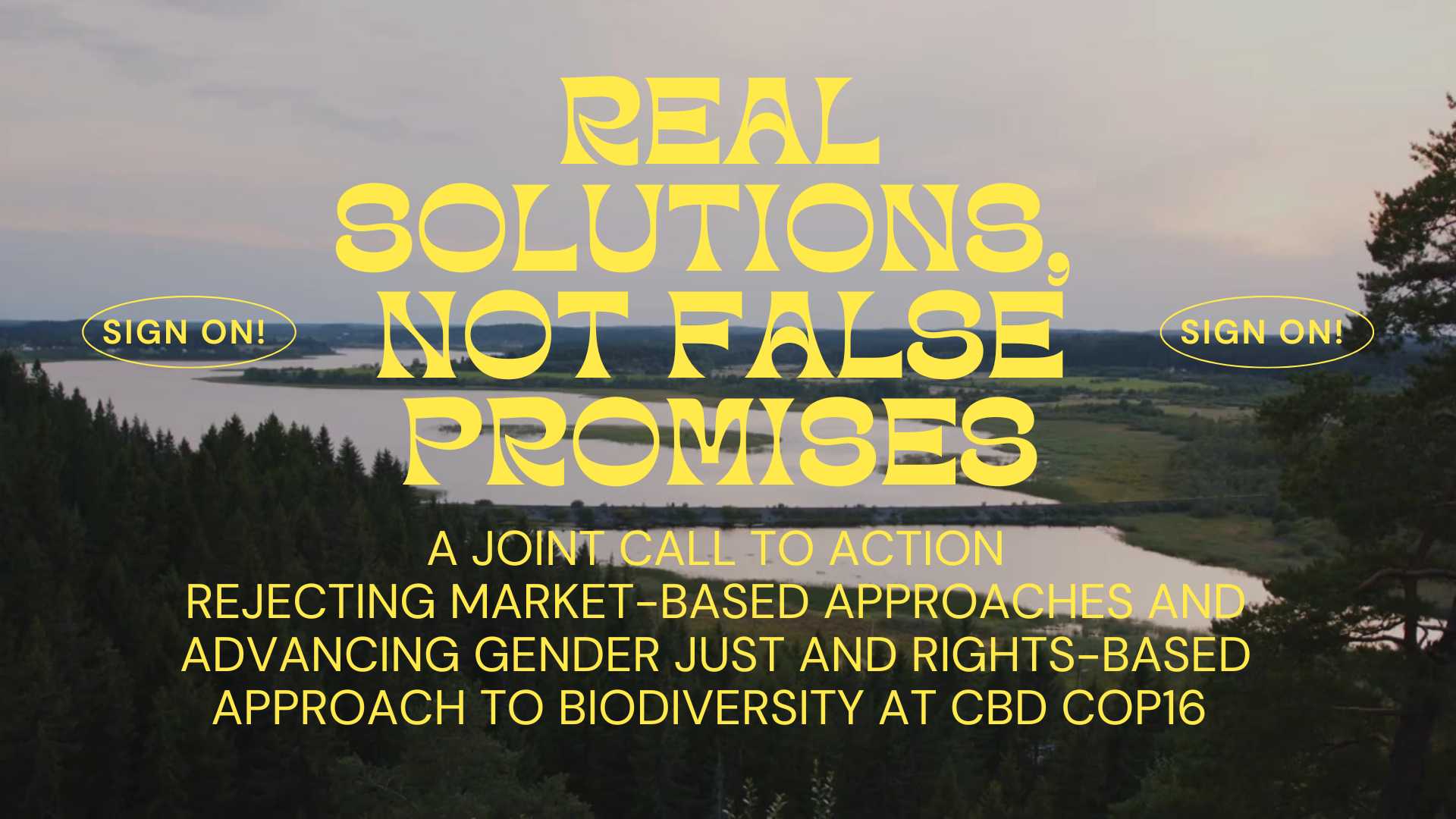 2-curioso-photography-QLOJS4bKNxg-unsplash_