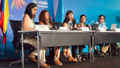 Latin American organizations call for urgent systemic change at COP16 biodiversity summit