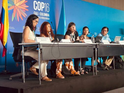 Civil society representatives at a press conference at CBD COP16