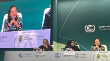 press conference with civil society represenatives speaking at cop29 in baku