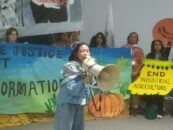 Asian woman speaking into megaphone in front of a protest action at cop29