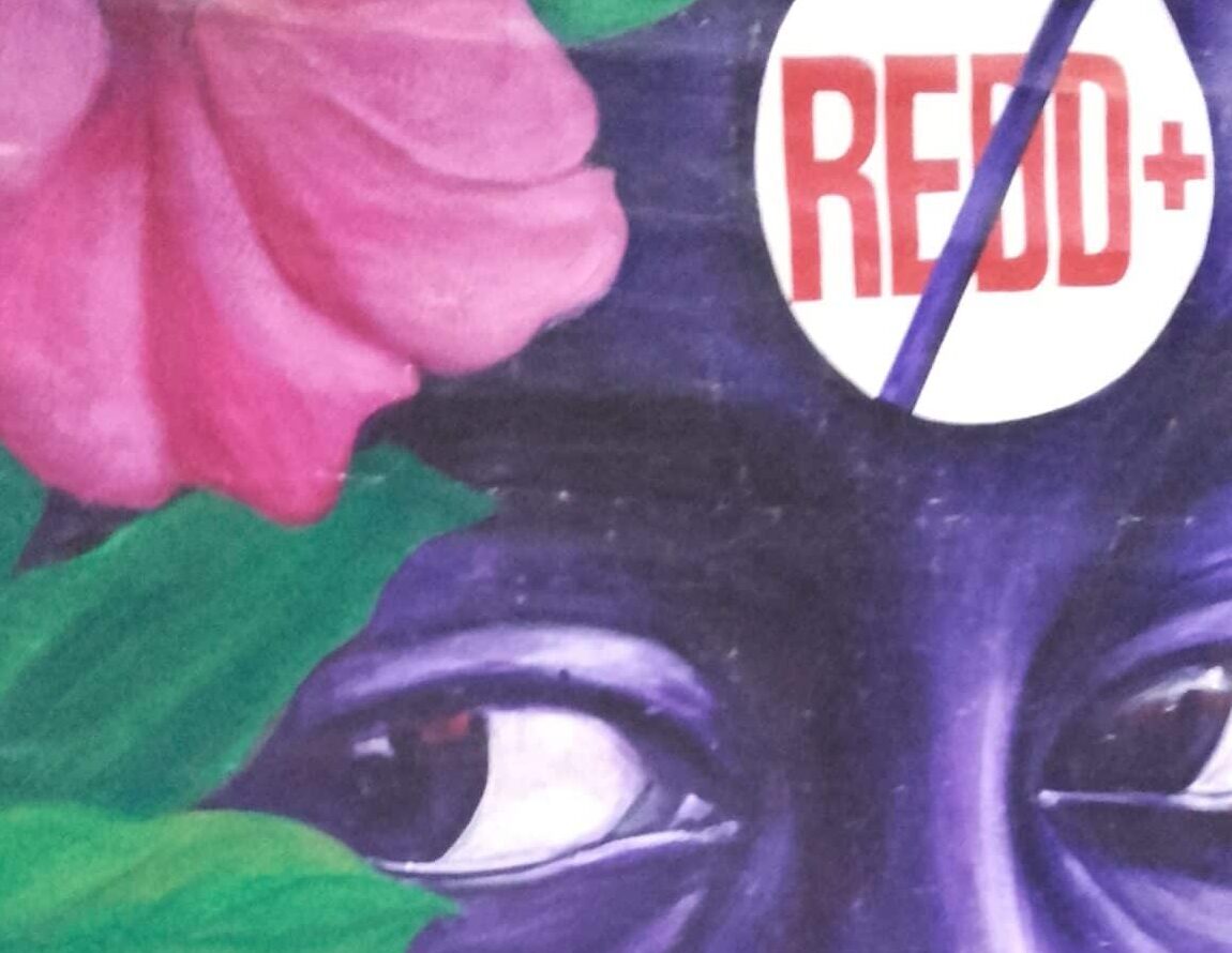 2-curioso-photography-QLOJS4bKNxg-unsplash_