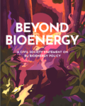 beyond bioenergy