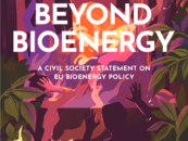 Más allá de la bioenergía