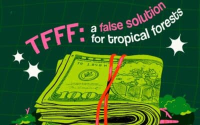 Tropical Forest Forever Facility Report Raises Deep Concerns About Market Approach to Forests