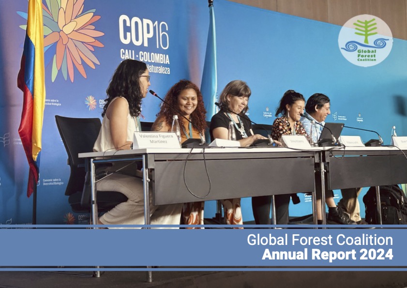 GFC Annual Report 2024 Cover Image