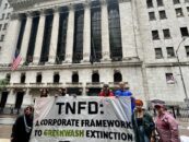 El Programa de las Naciones Unidas para el Medio Ambiente no investiga su papel en la controversia sobre el ecoblanqueo de la TNFD