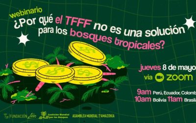 TFFF : une fausse solution pour les forêts ?