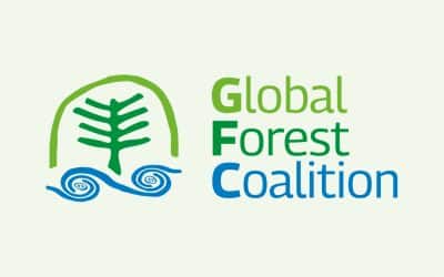 Roots Newsletter December 2024