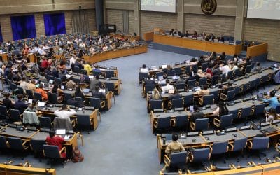 To Protect Biodiversity Global Policy Makers Must Reject Emphasis on Market-based Mechanisms and Promote Community-led Solutions