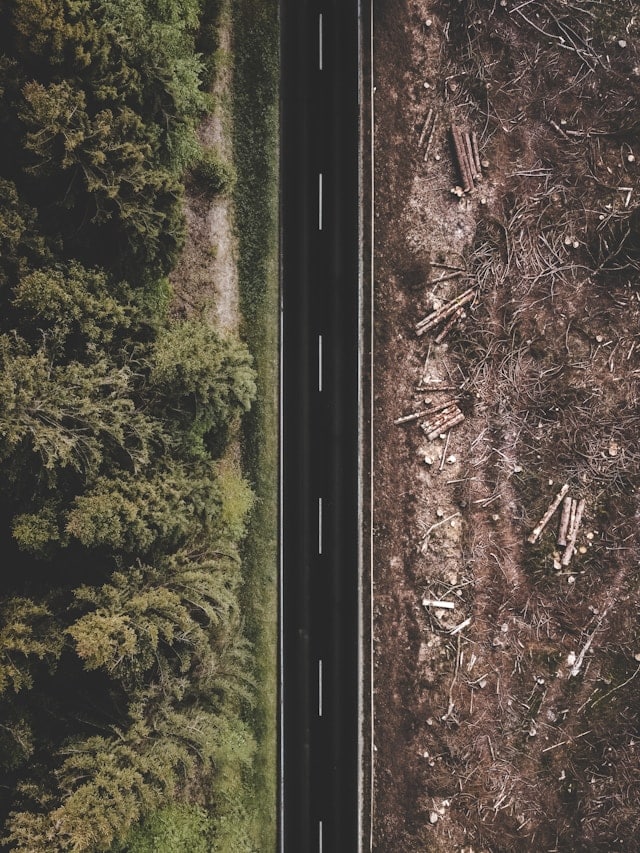 A road with forests on one side and deforested land on the side