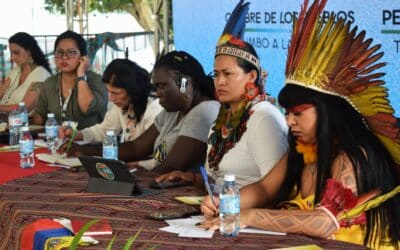 Ethical Tribunal in Defense of the Bodies and Territories of Women and Gender Diverse People