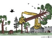 Biomass Action Network Sounds Alarm on Bioeconomy False Solutions in Belem