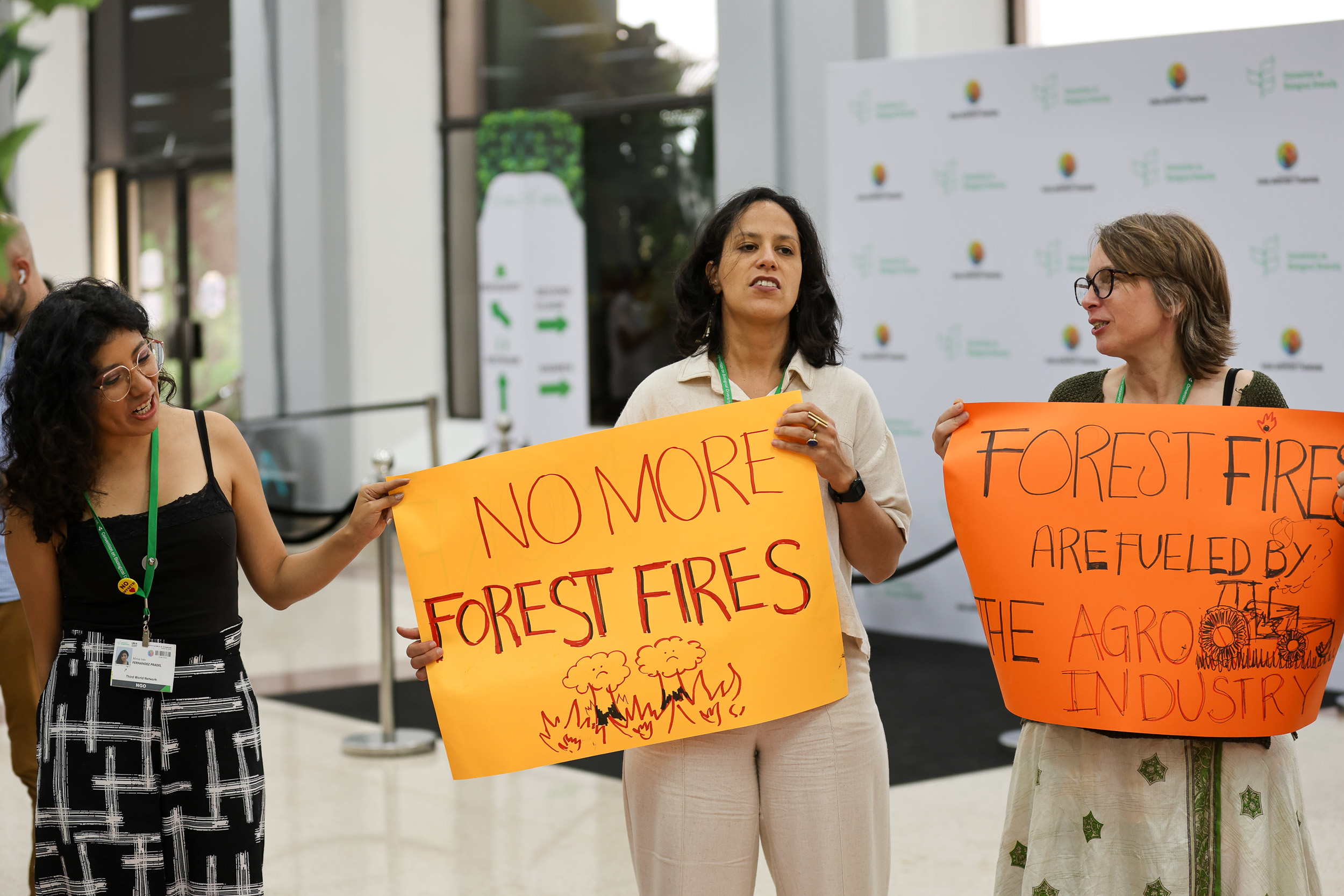 Biodiversity Markets and False Solutions: What Is at Stake for Communities at COP17