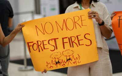 Action on Forest Fires