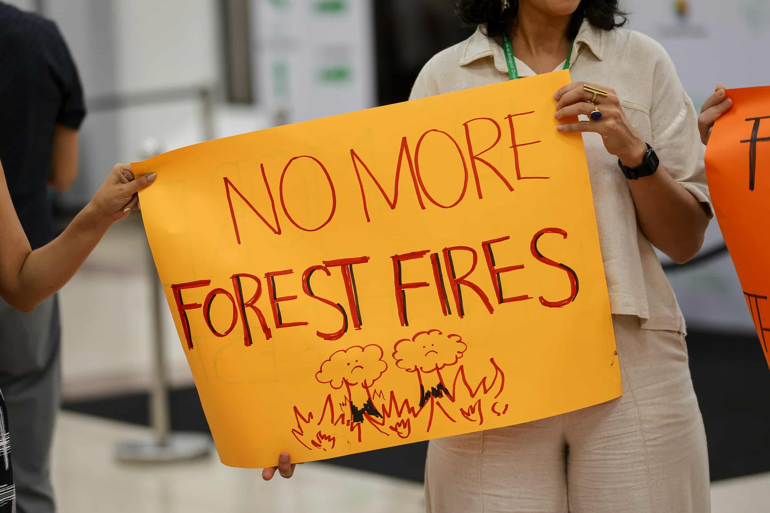 2-curioso-photography-QLOJS4bKNxg-unsplash_