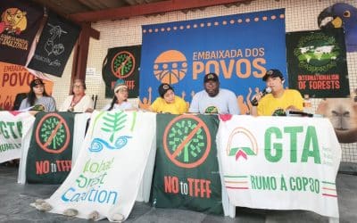 El Fondo para los Bosques Tropicales fracasa en su primera prueba ante el inicio de la Conferencia sobre el Clima de Belém