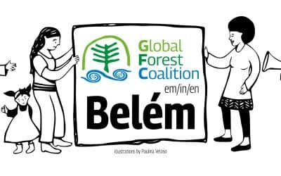 Global Forest Coalition in Belém