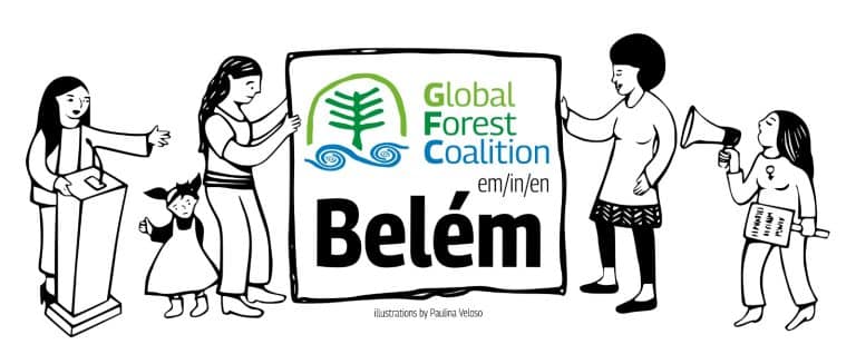 GFC at COP 30 Banner