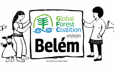 Global Forest Coalition à Belém
