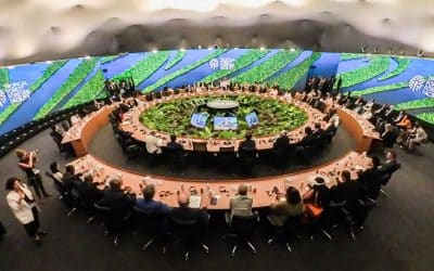 NO al TFFF, SI a los derechos de los bosques