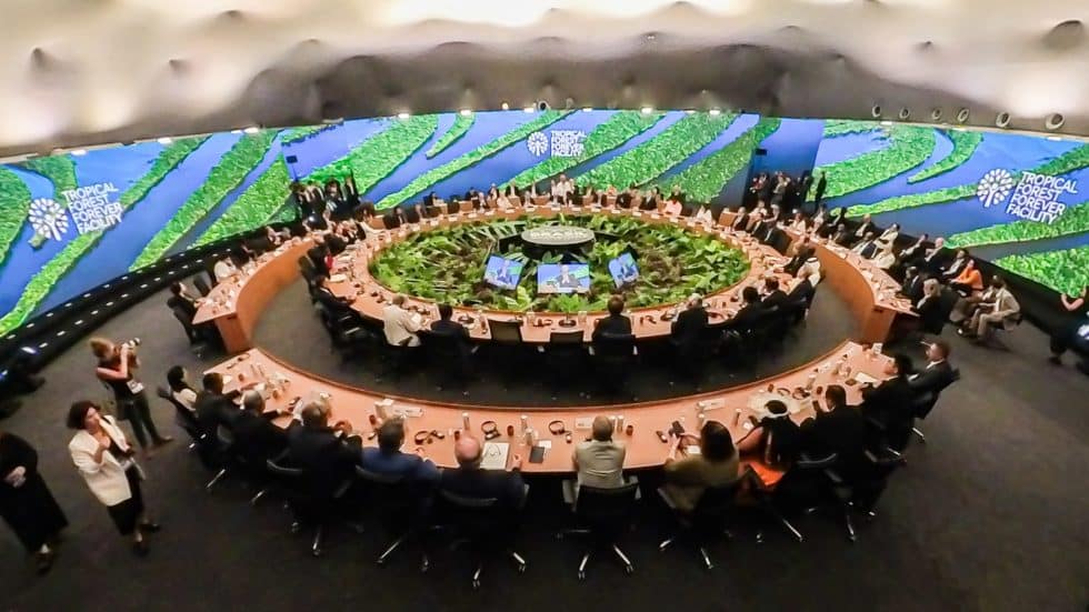 NO to TFFF, YES to Forest Rights - Global Forest Coalition