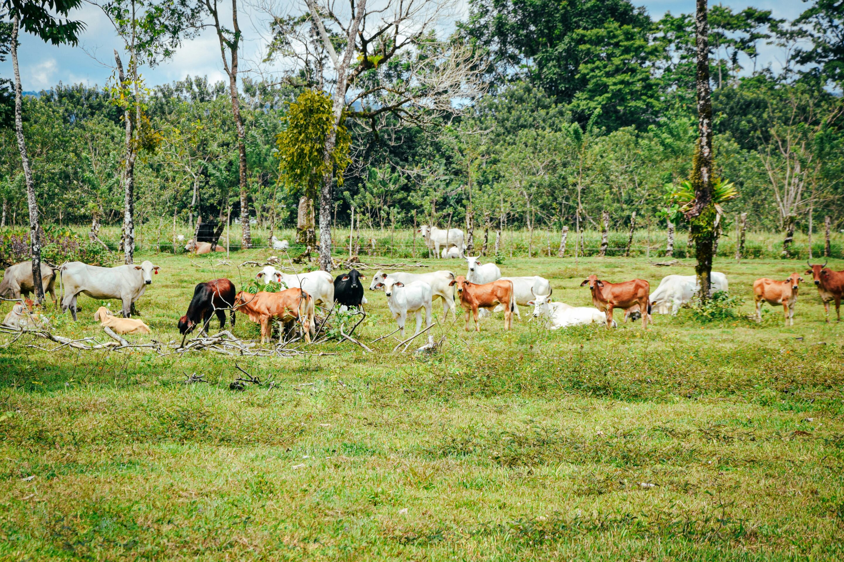 2-curioso-photography-QLOJS4bKNxg-unsplash_