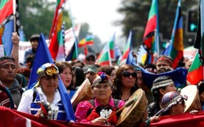 Webinario de lanzamiento de Cobertura forestal 70: De las falsas soluciones al cambio transformador