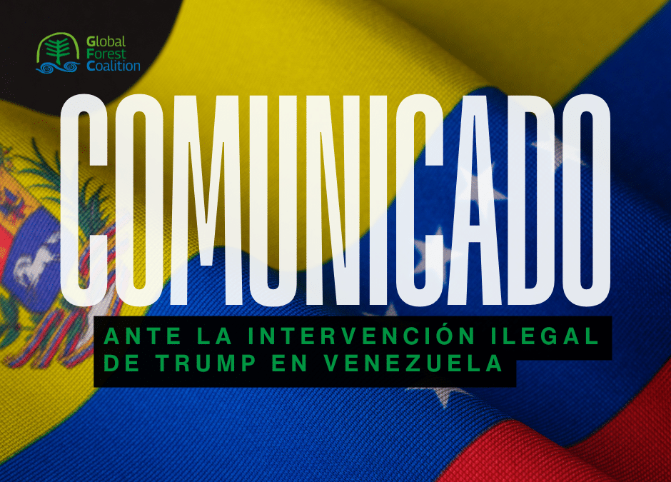 Statement by the Global Forest Coalition (GFC) Against the US’s Illegal Intervention in Venezuela