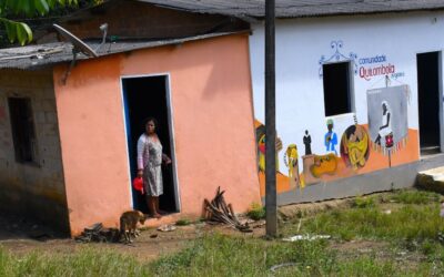 Brazil’s GE eucalyptus boom shows how land-based geoengineering—marketed as climate mitigation—reproduces colonial, ecological, and social harms