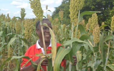International Women’s Day: Gender Justice and Feminist Emancipation Are Fundamental to Protect Forests