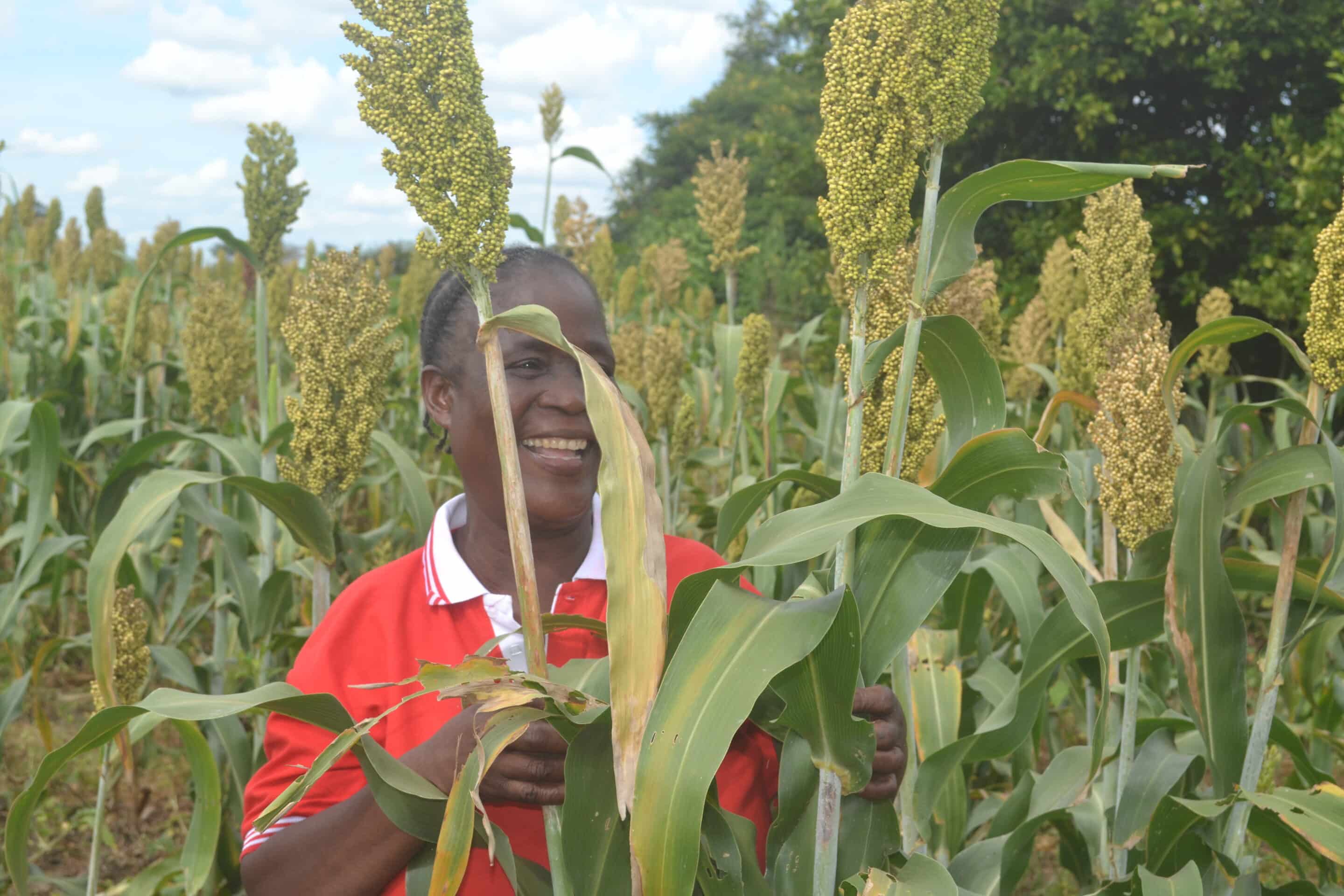 2-curioso-photography-QLOJS4bKNxg-unsplash_